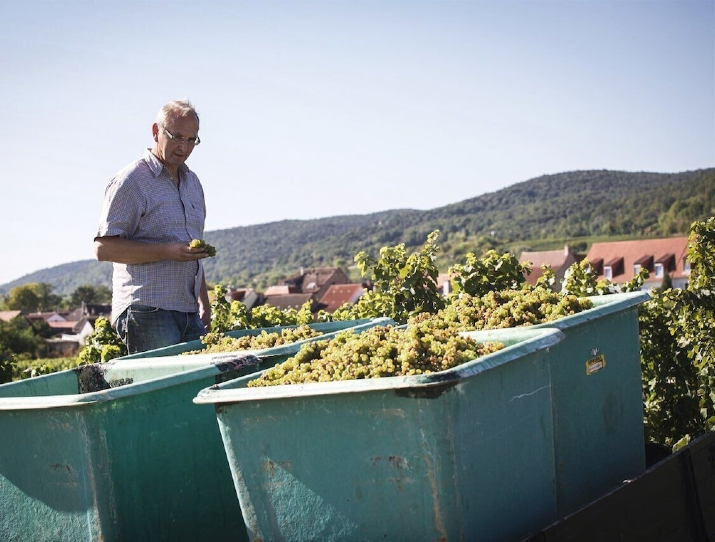 Weingut & Landhotel Lucashof