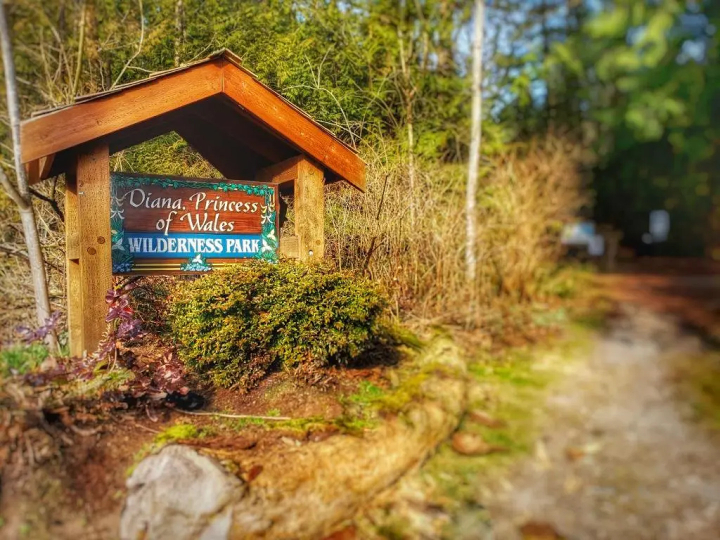 Hummingbird Haven B&B