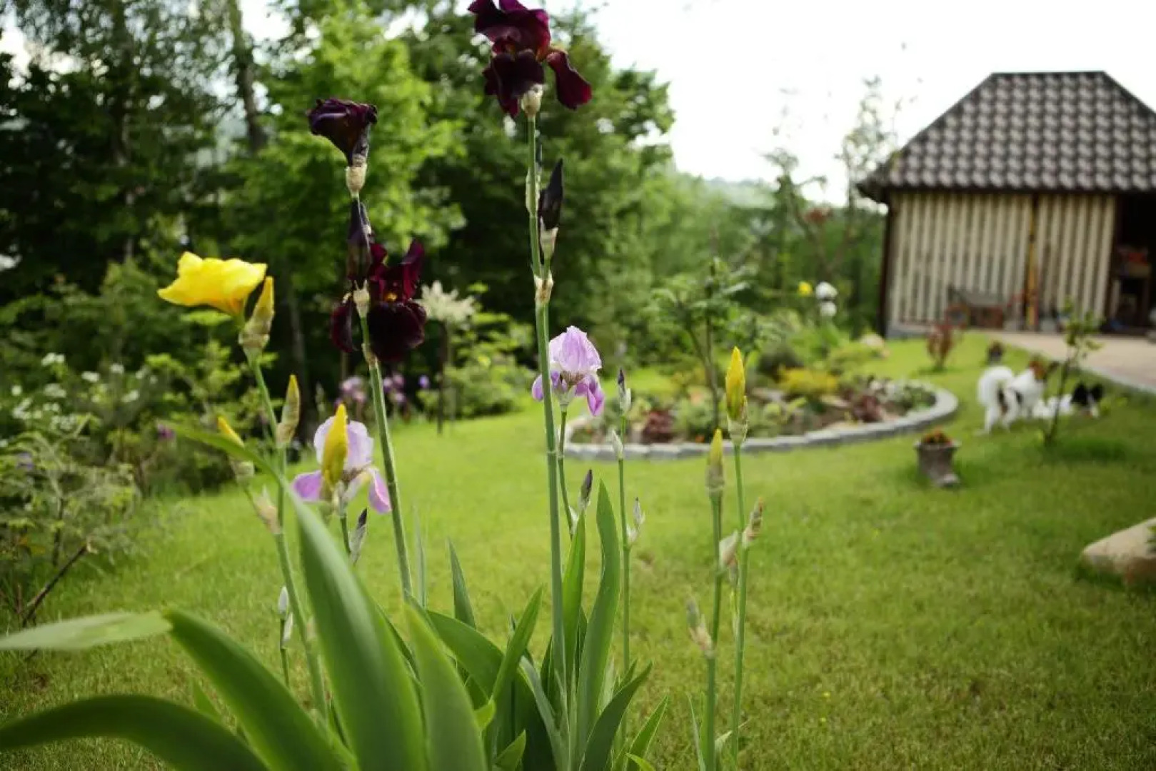 Комплекс апартаментов «ФАВАР Карпаты»