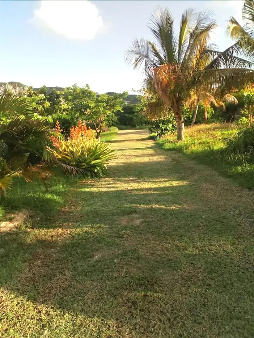 Victory villas Antigua