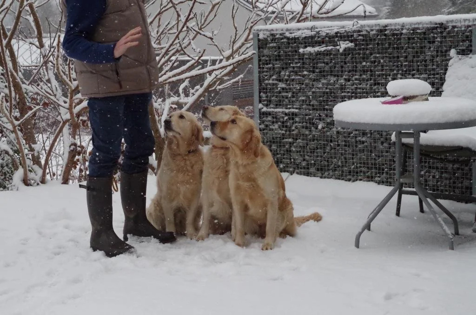 B&B La Bonne Espérance