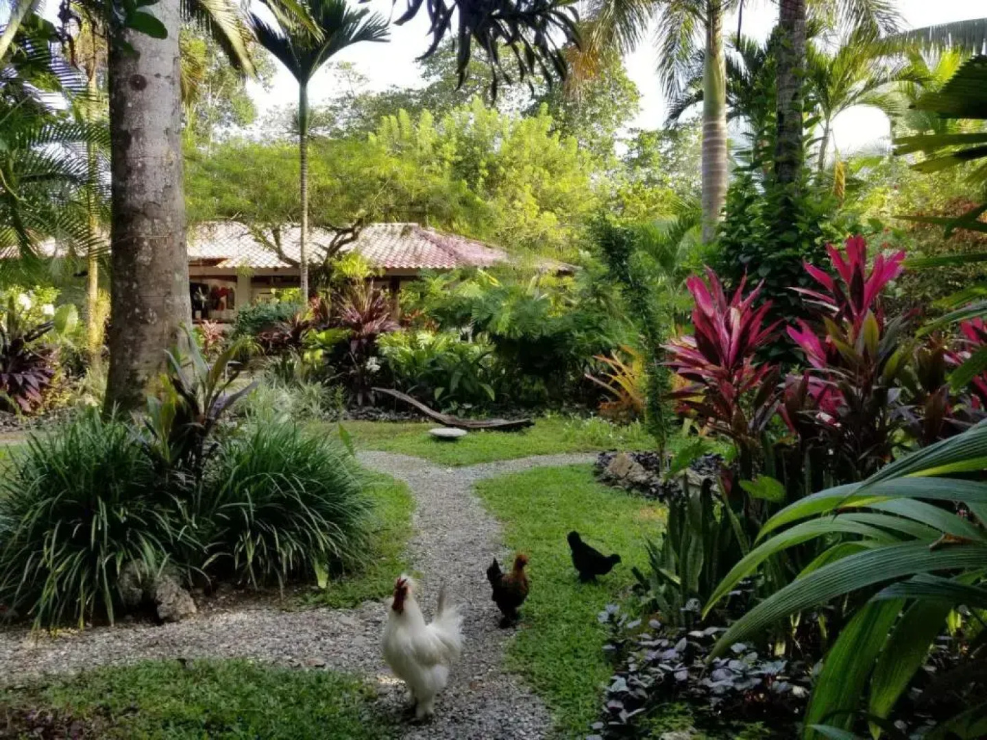 Piscina Natural on the Sea