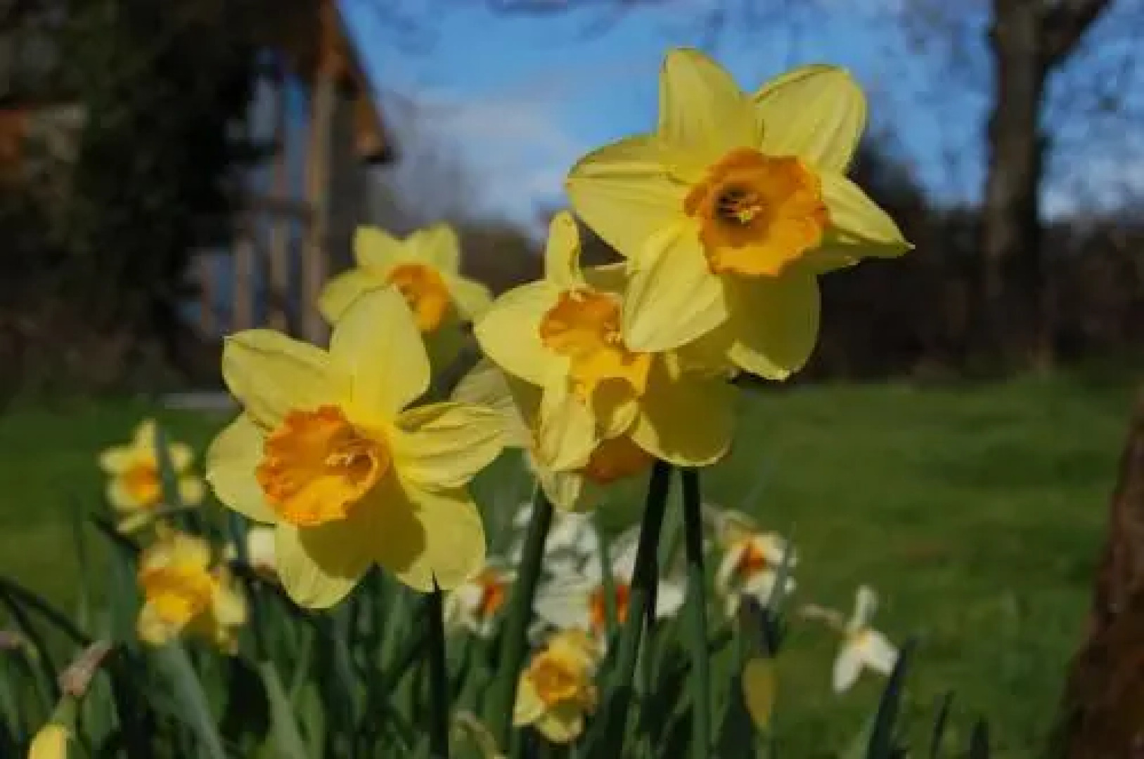 The Farm Snead Bed & Breakfast