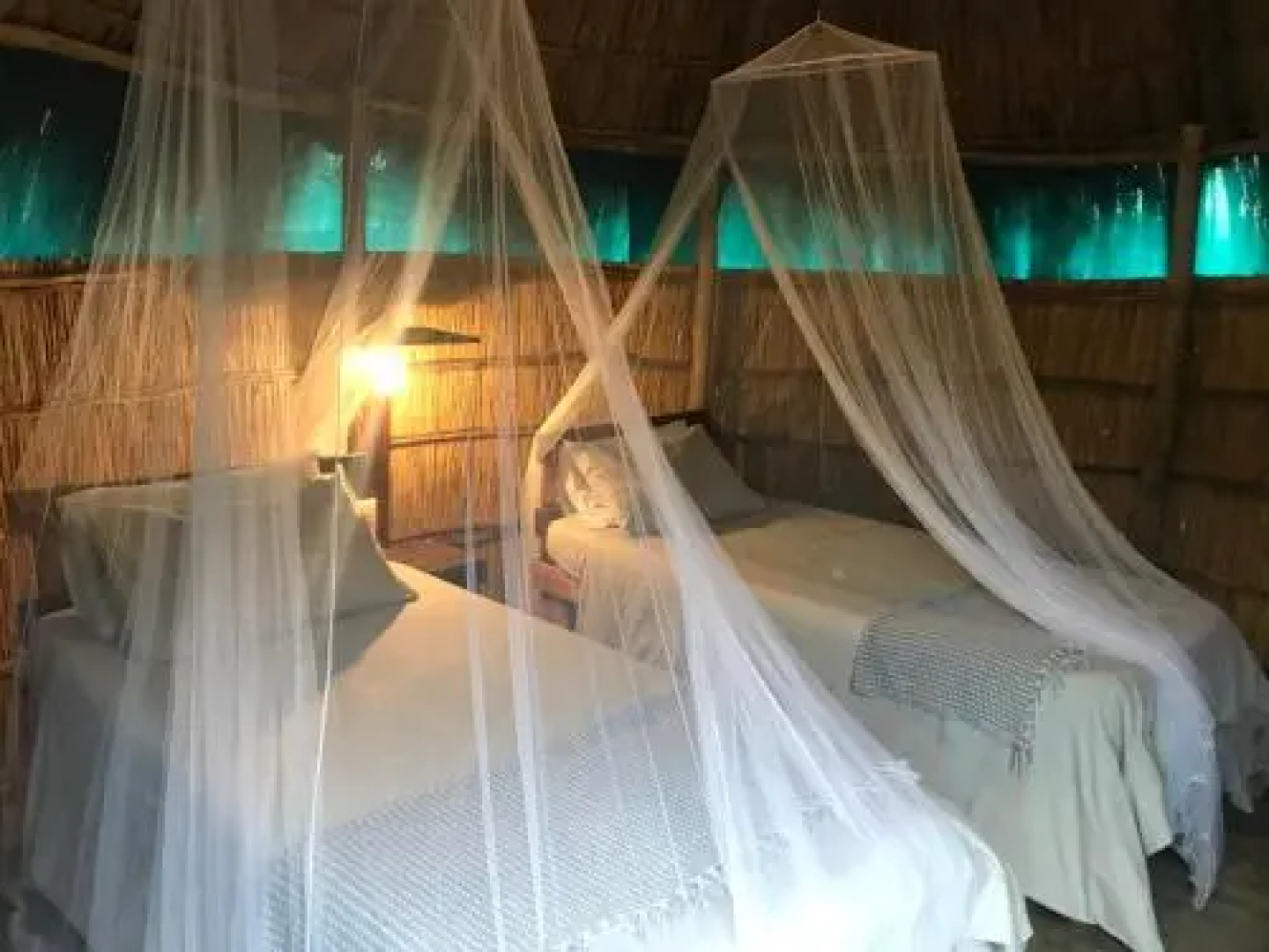Manico Camp