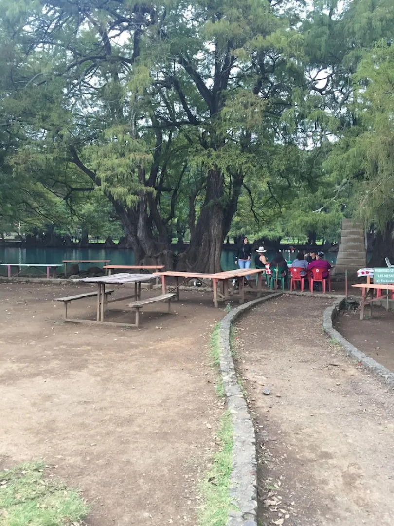 Anaya & Rodriguez Shop - Hostel