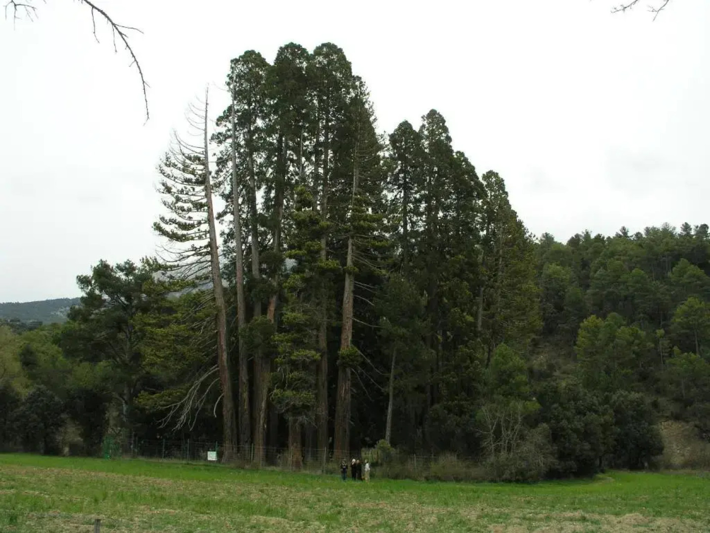 El Molino De Fuencaliente
