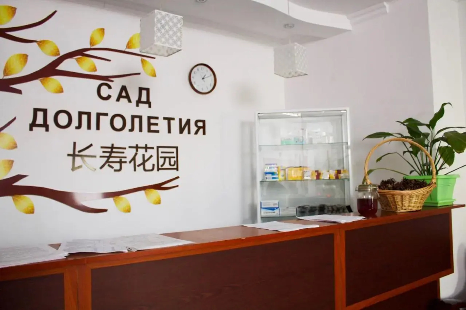 Сад долголетия