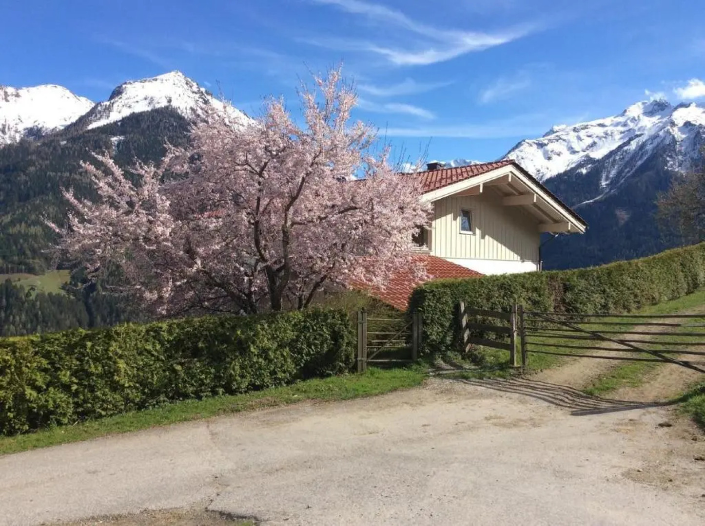 Ferienwohnung Zwoelferblick