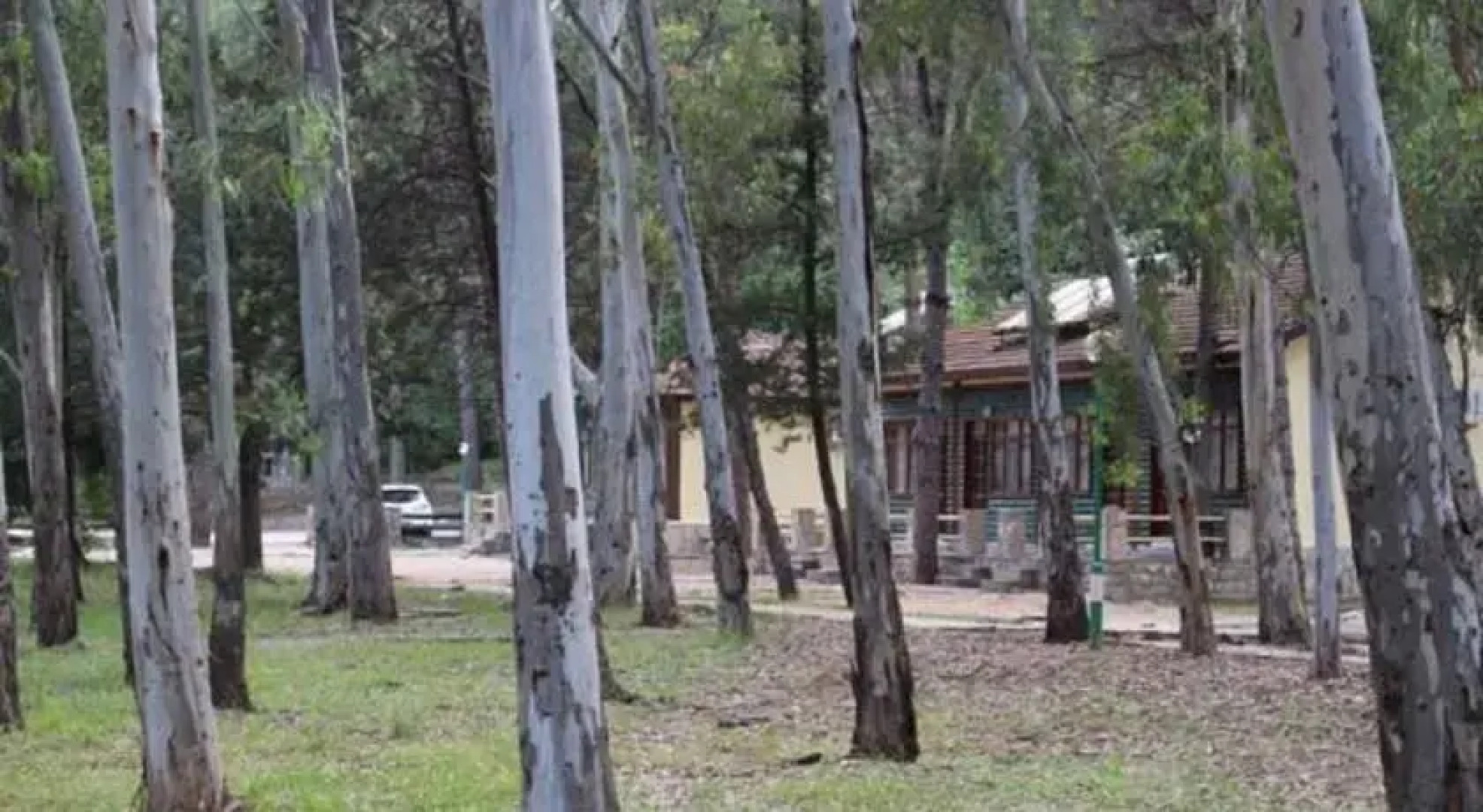 Lodges in Akyaka Kamp