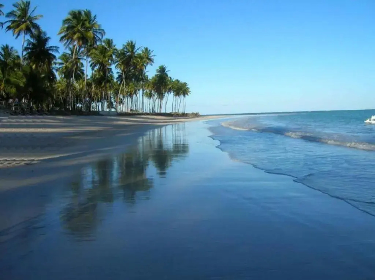 Carneiros Beach Resort - Praia Carneiros