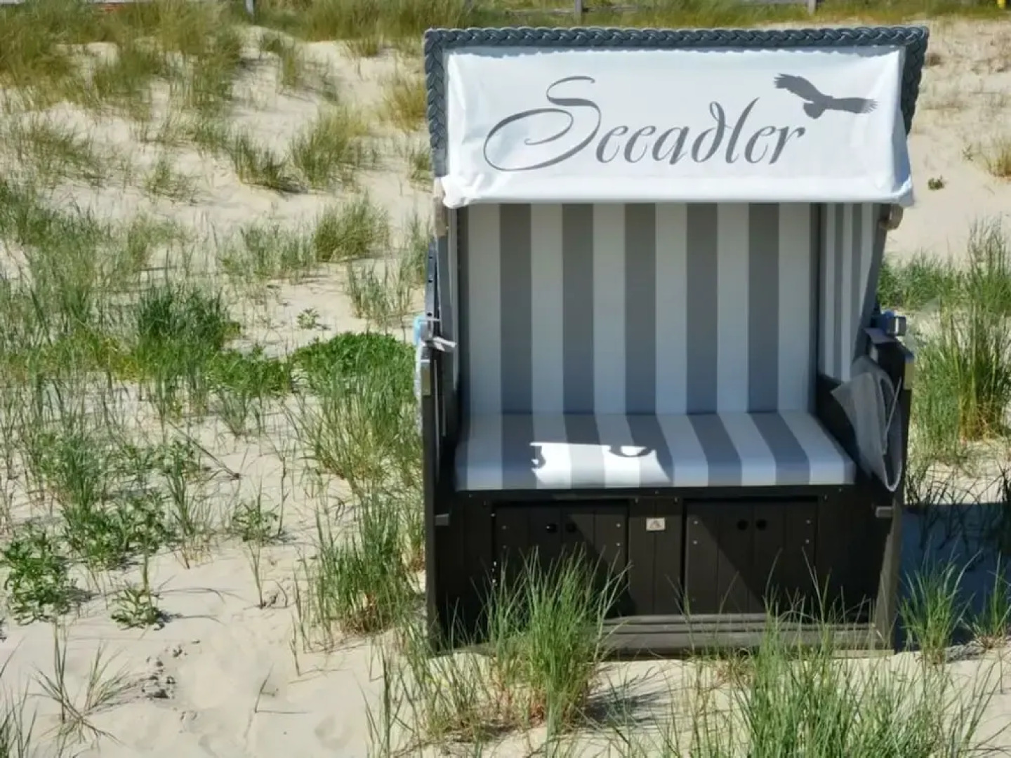 "sea Eagle" in the House on the Dune