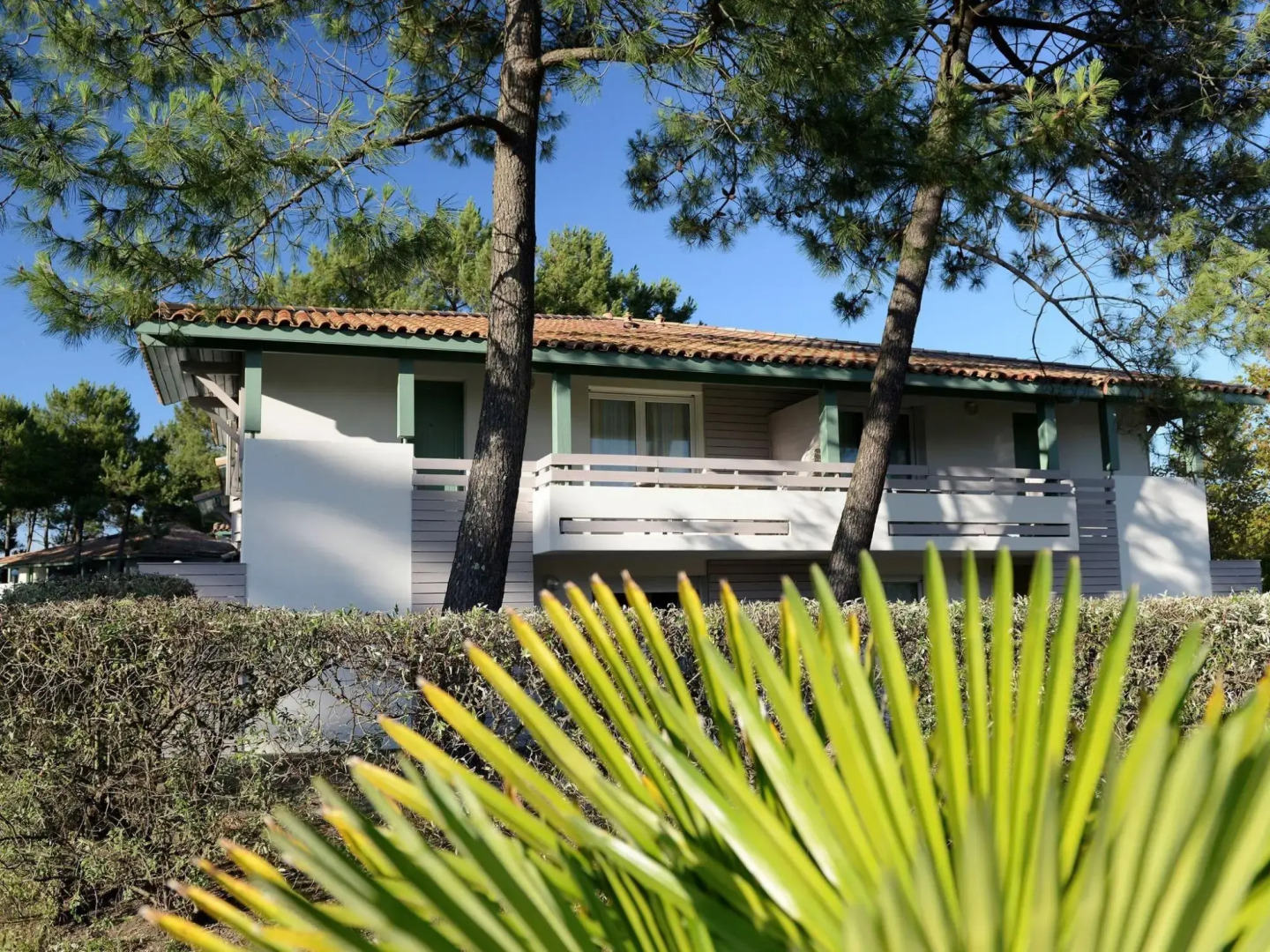 Cozy Apartment With a Terrace, Just 350 m. From the Beach