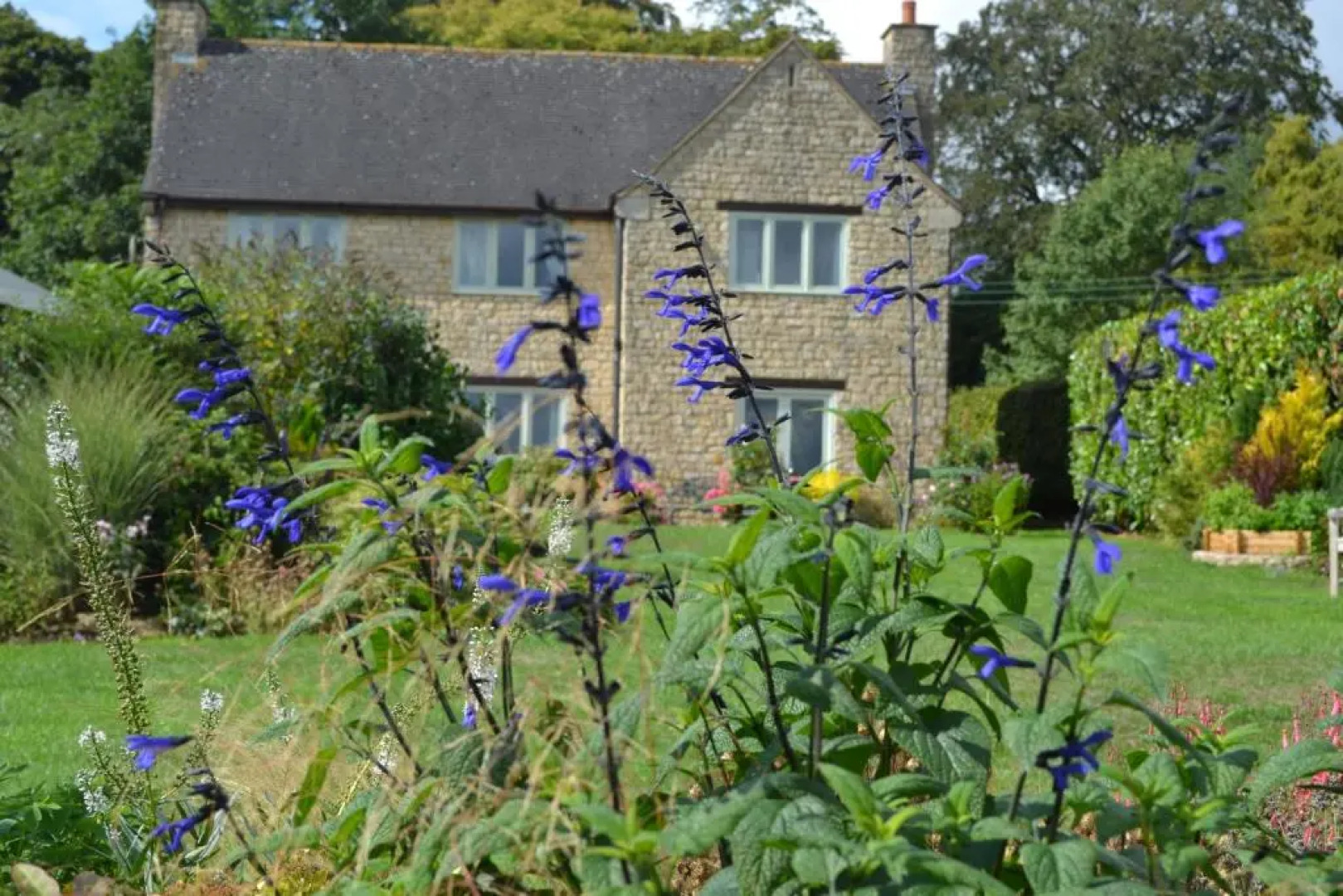 Two Hoots Bed and Breakfast