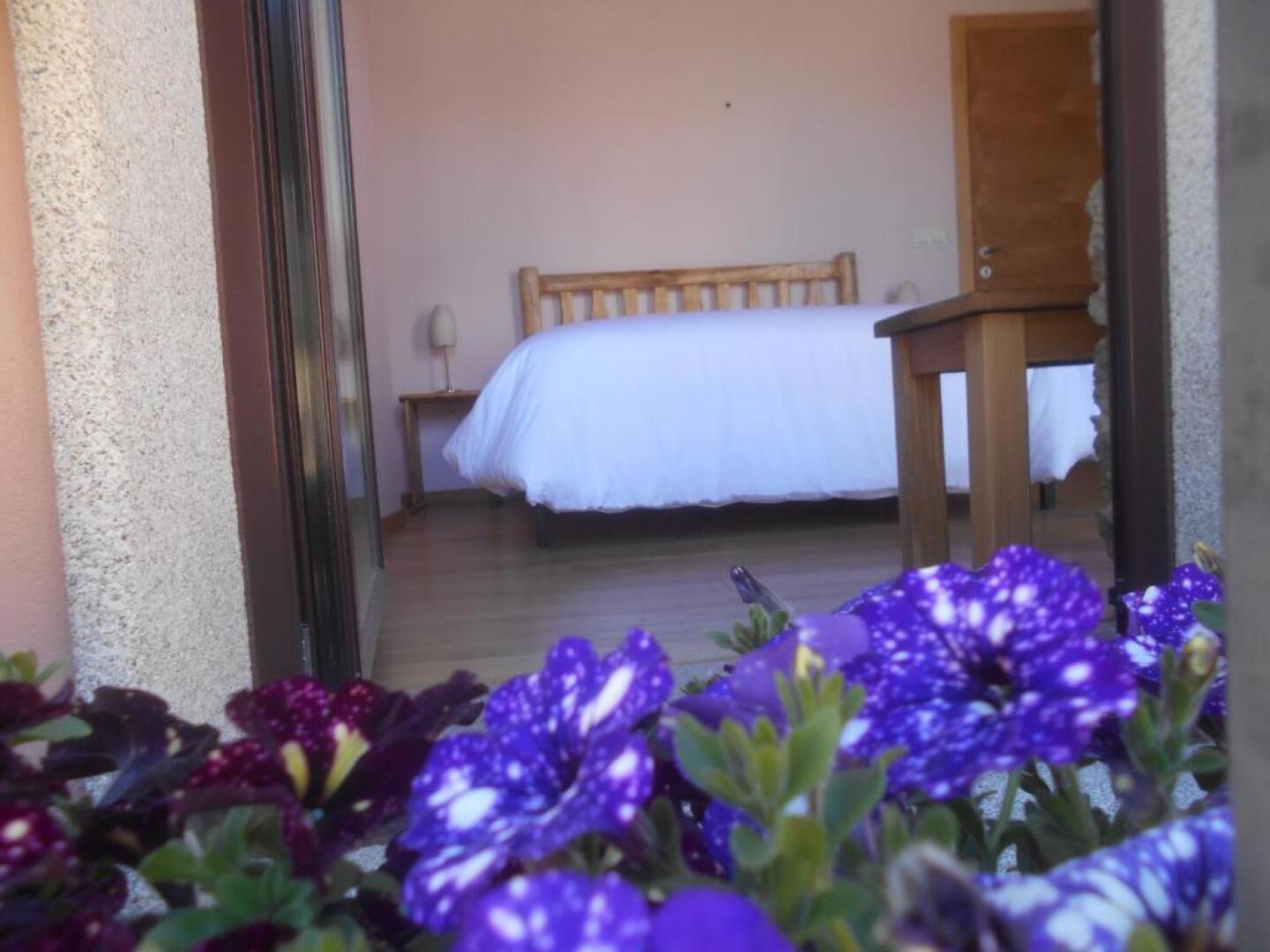 Xardín De Estrelas ***