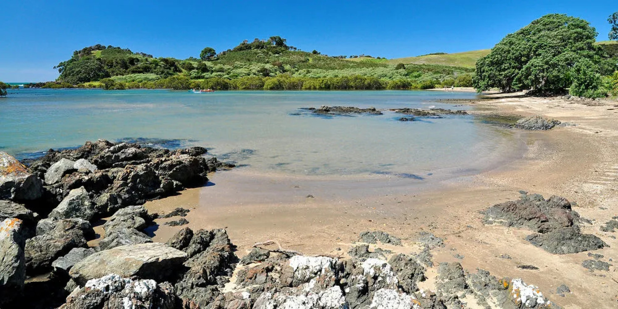 Sanctuary in the Cove