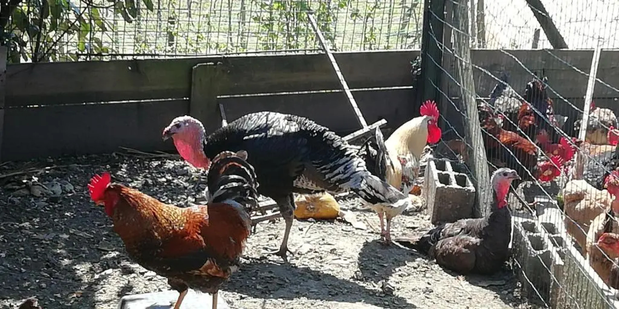 My Portugal for All - Lousada Villa