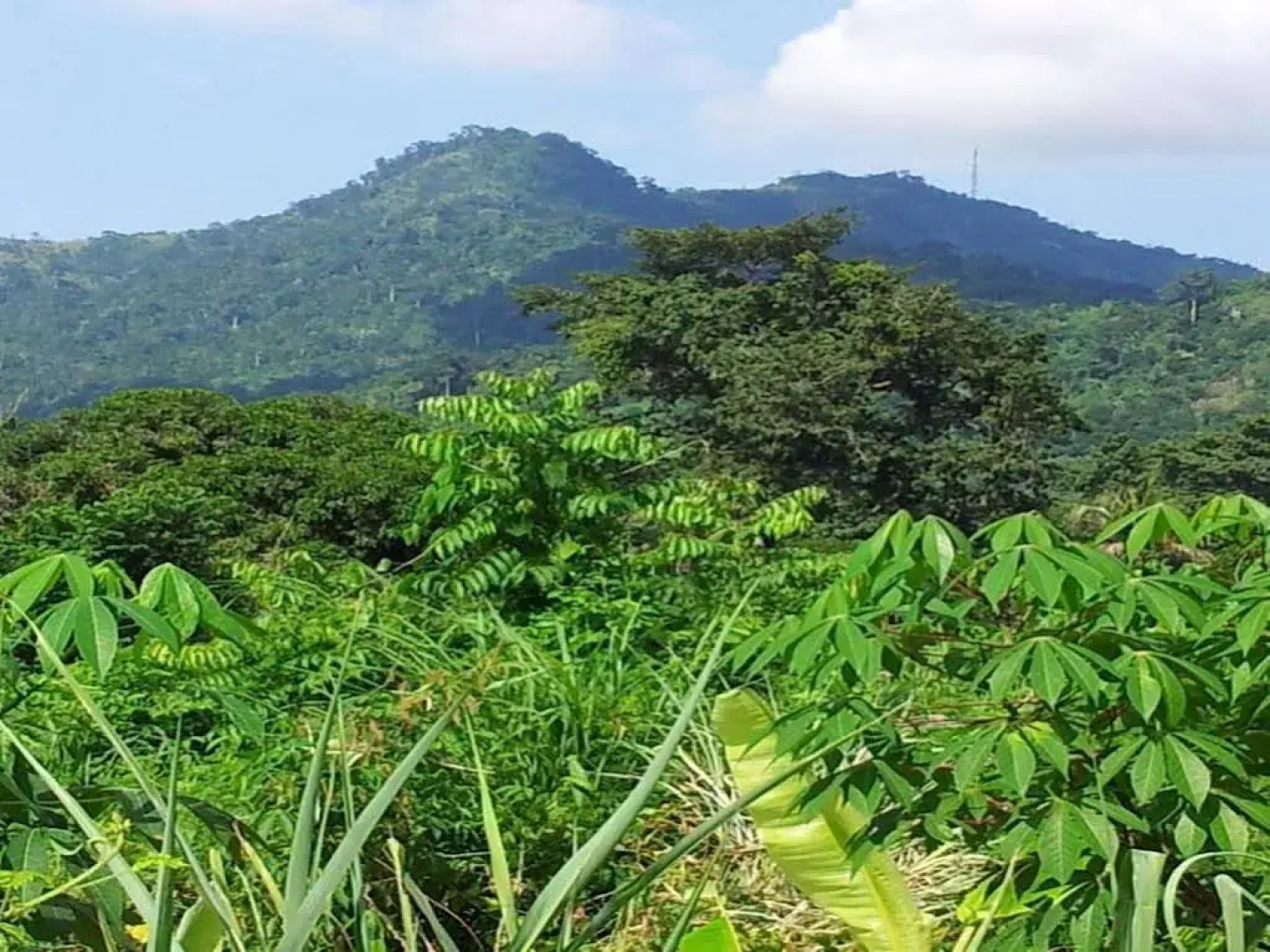 Hotel Marie Antoinette Lome