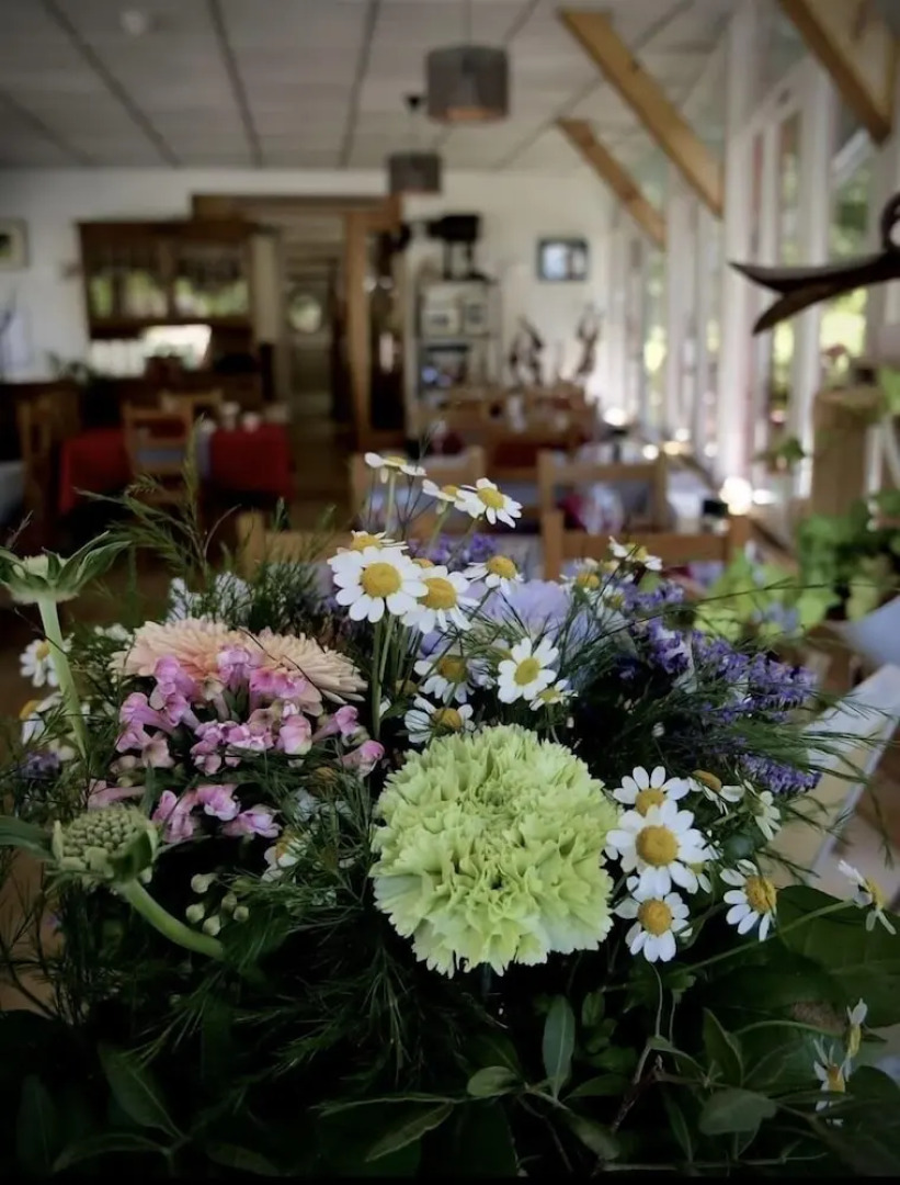 Caprice du Guiers la Joceane