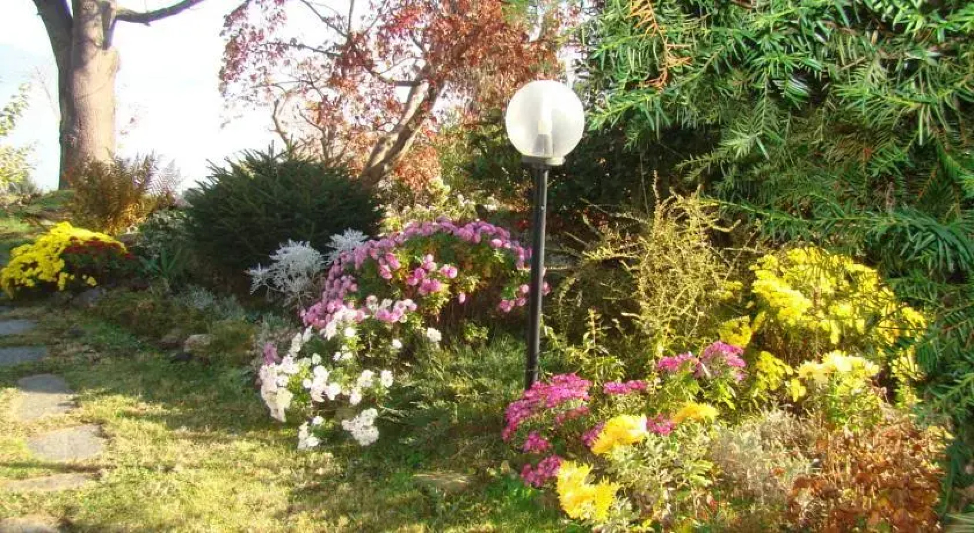 B&B Il Grillo Bianco