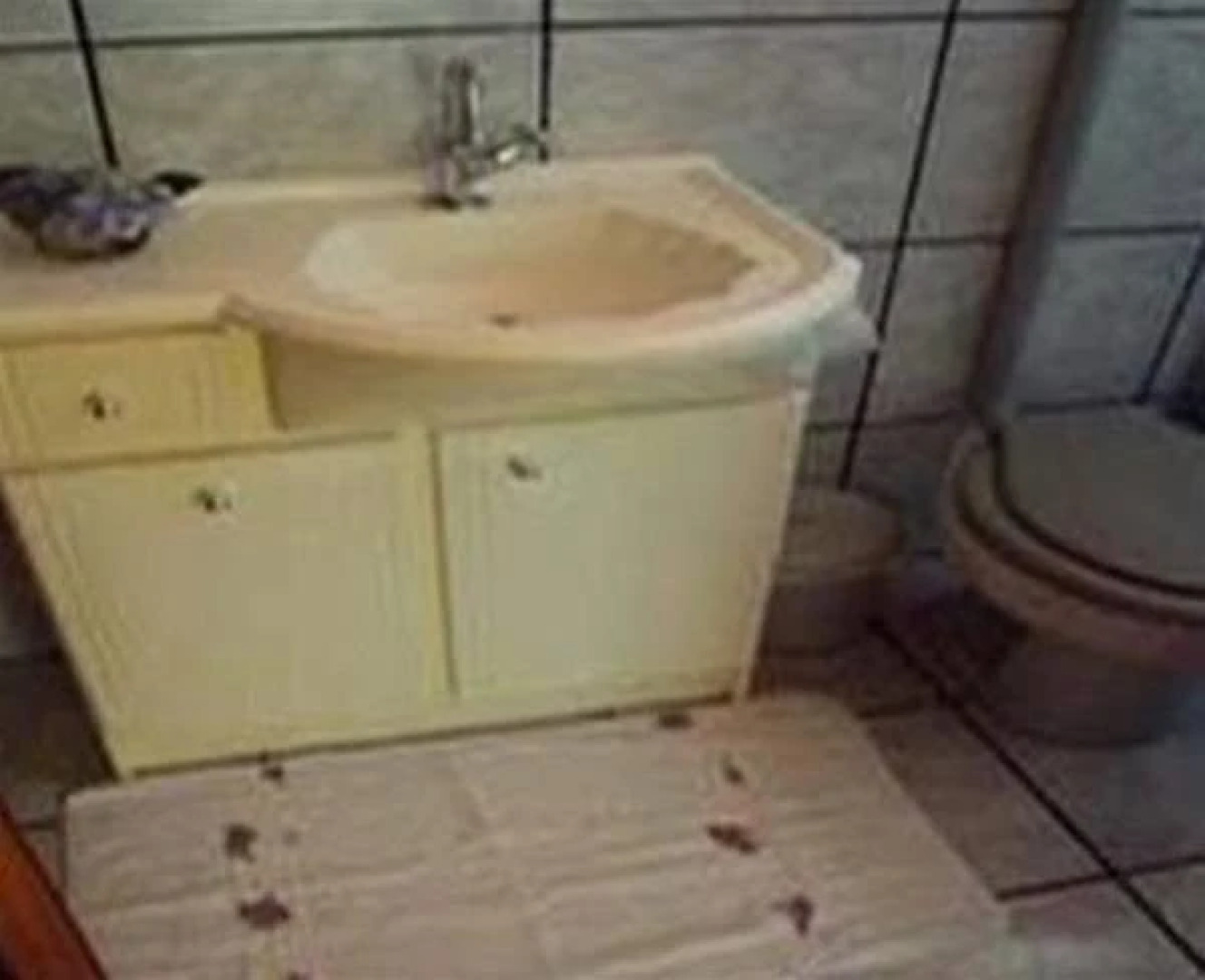 Pousada Colina da Serra