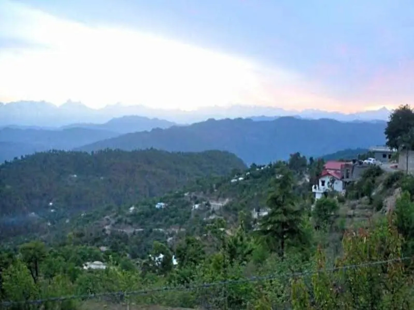 Plumrose Homestay Cottage