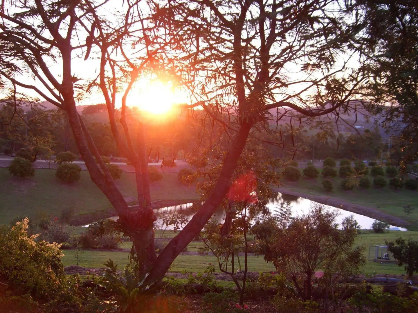 Amamoor Homestead B&B and Country Cottages