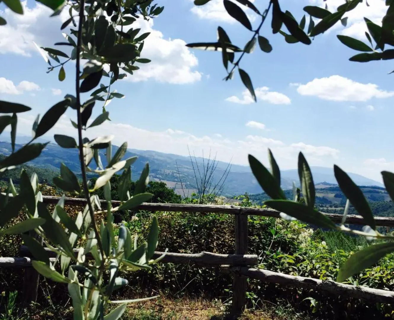 Agriturismo Poggio Paradiso