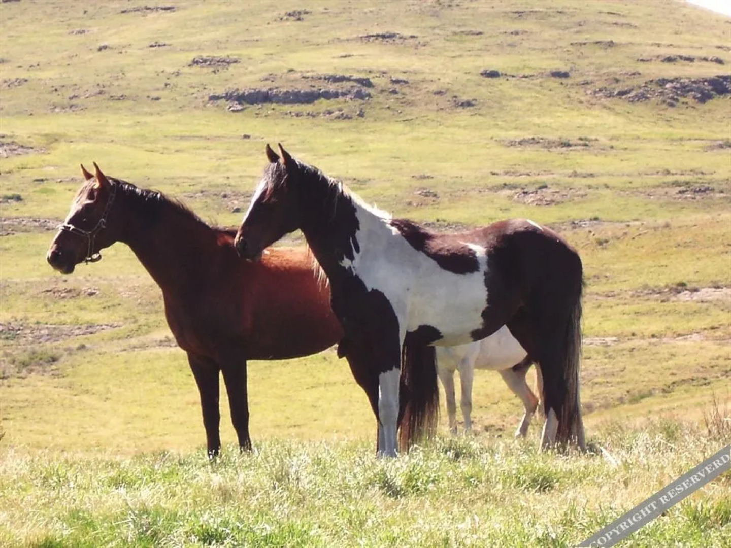 Tenahead Mountain Lodge and Spa