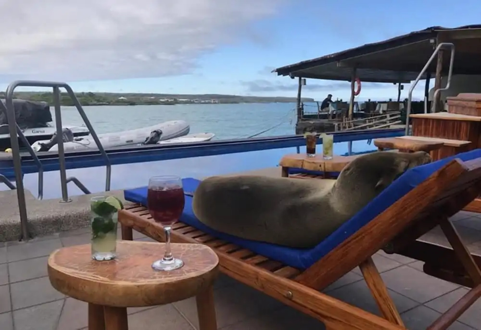 Solymar Torre Principal