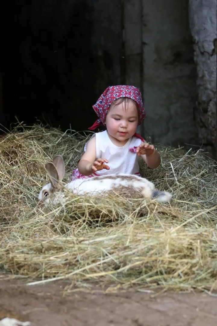 Cozy Apartment with Roof Terrace