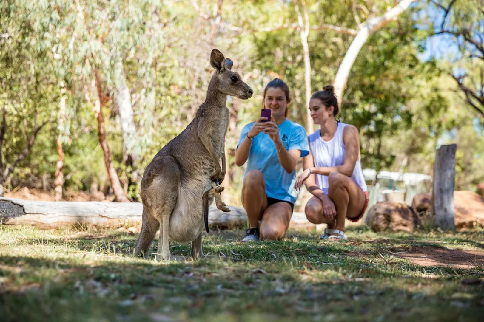 Discovery Resorts - Undara