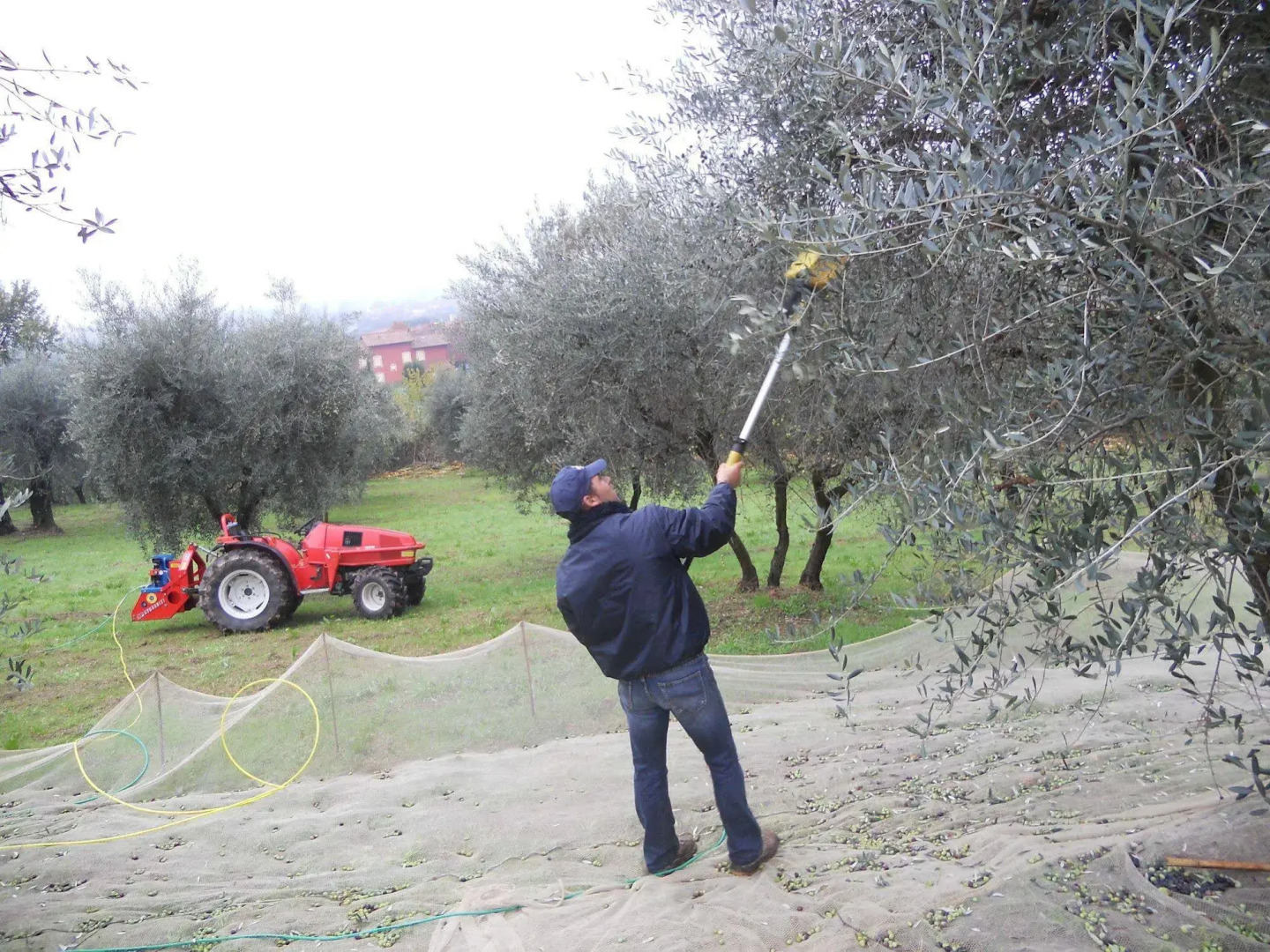 Collina Toscana Resort