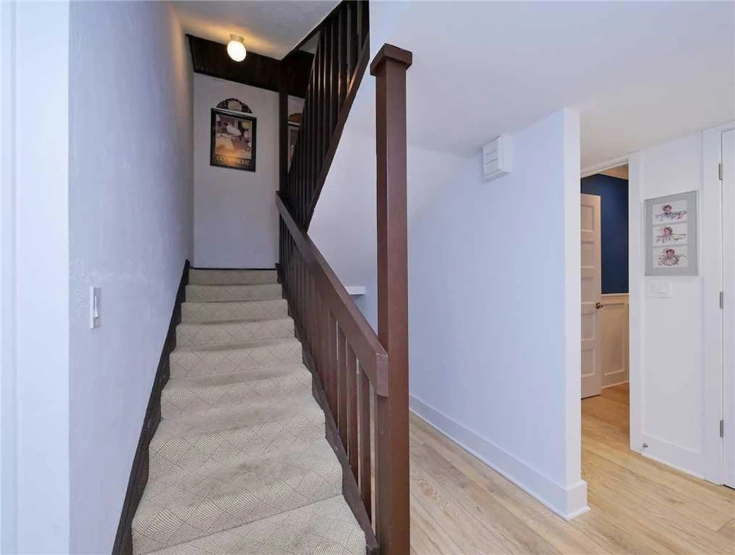 Ponte Vedra Deer Run 9770