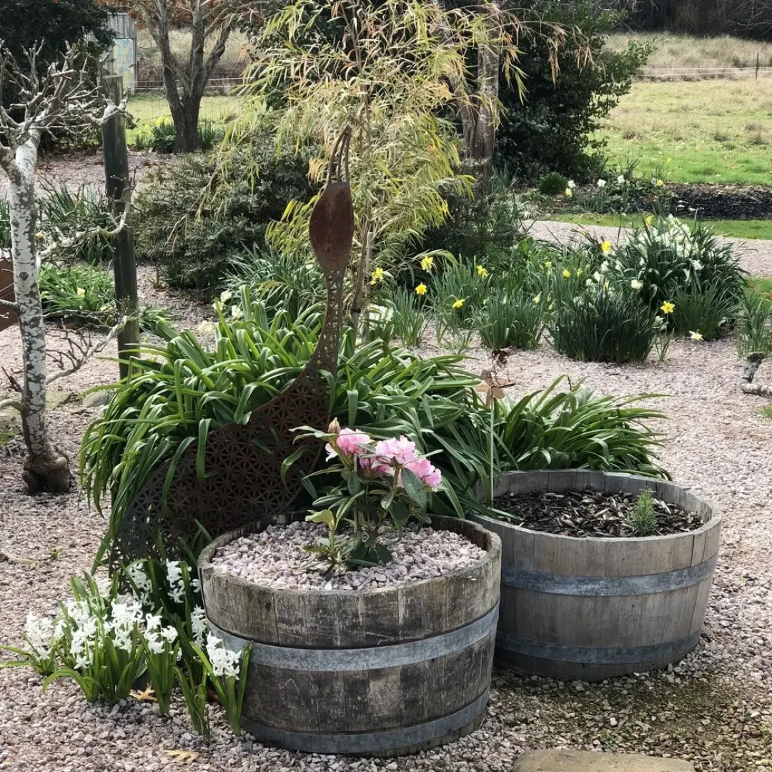 3 Willows Vineyard Cottage