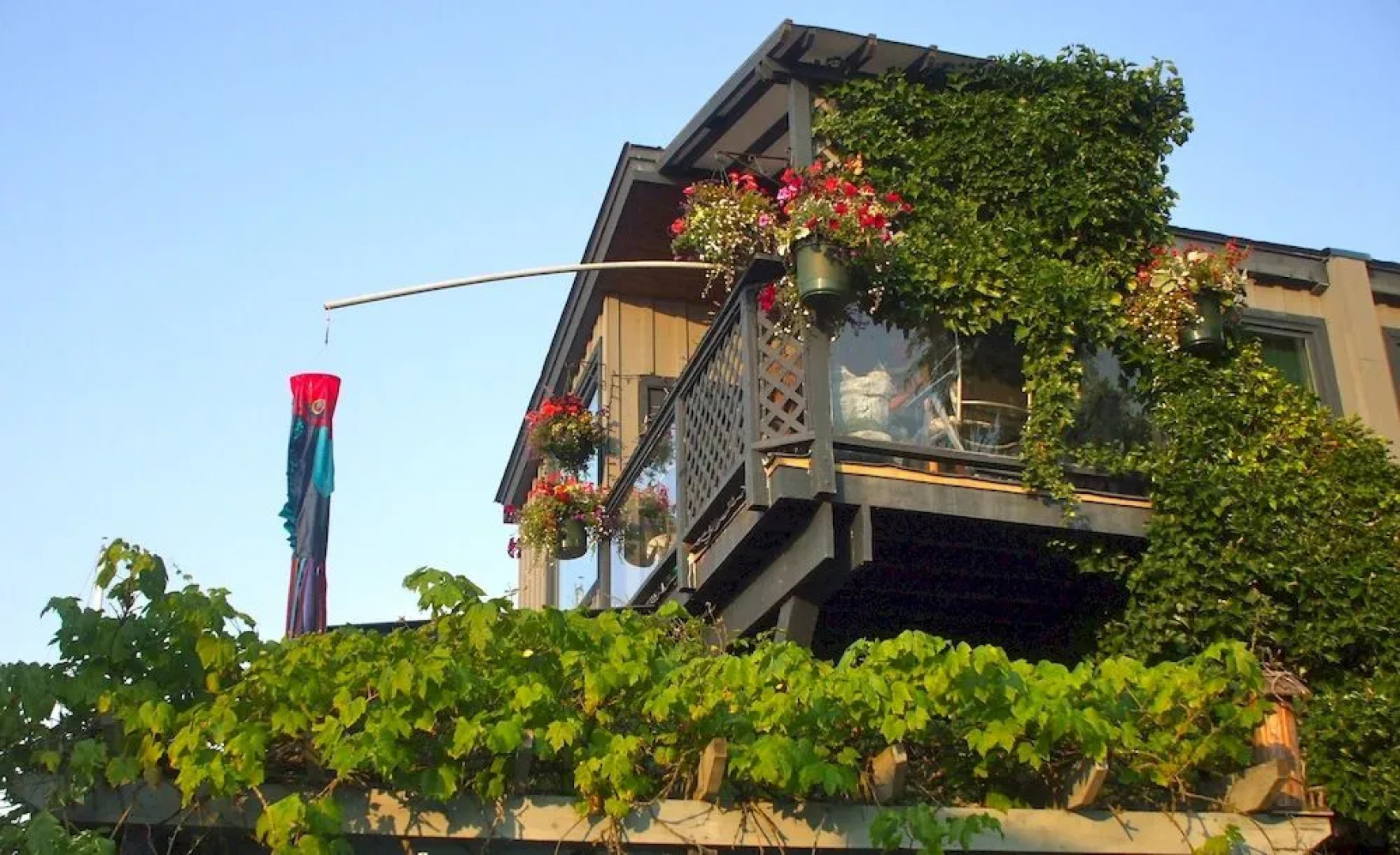 The Duck Inn Riverfront Cottages