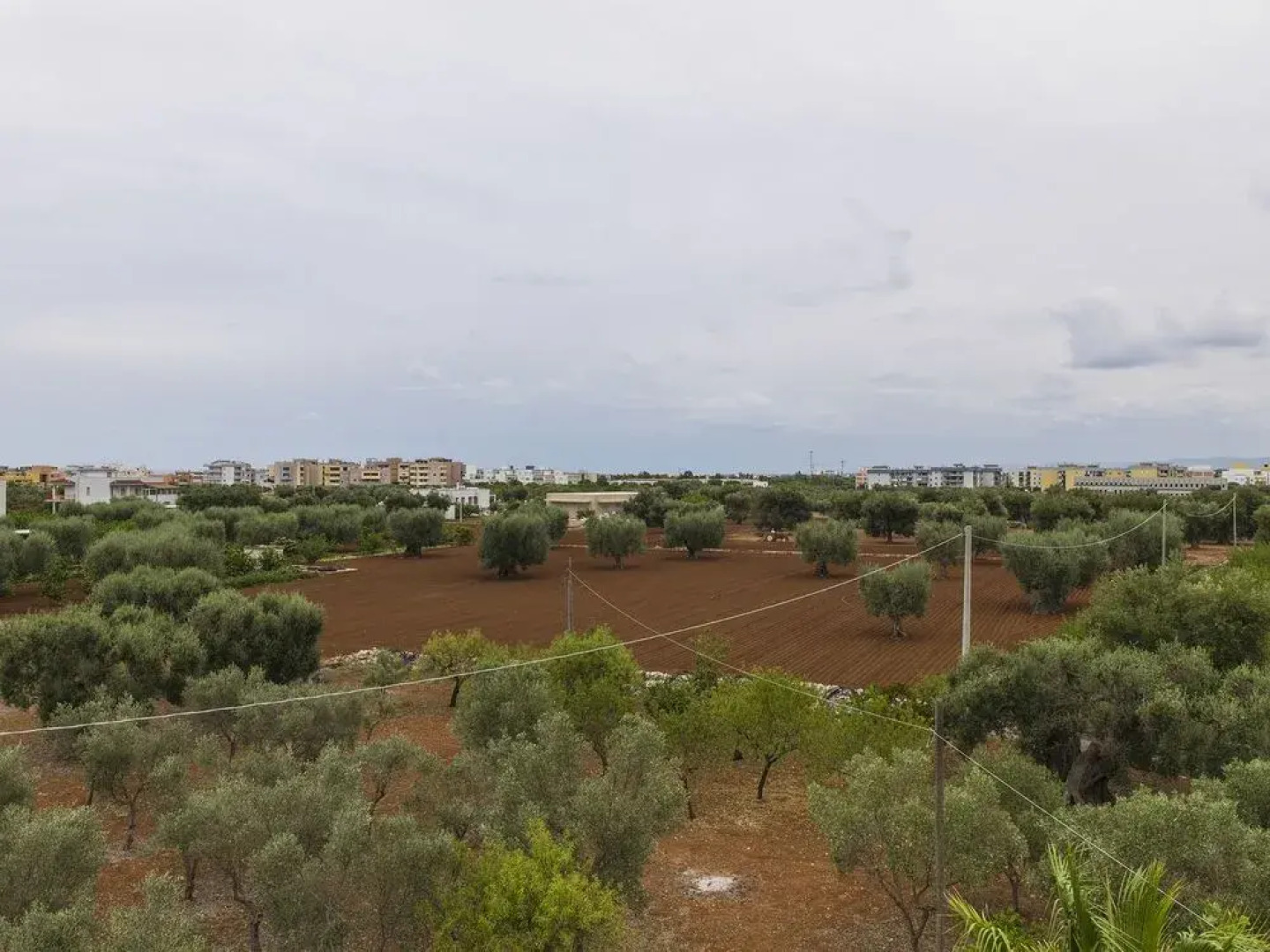 Il Sole Bed and Breakfast