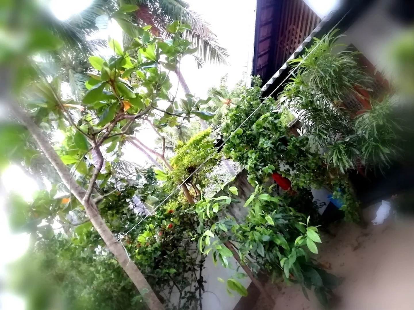 Bay Dream Beach Hotel