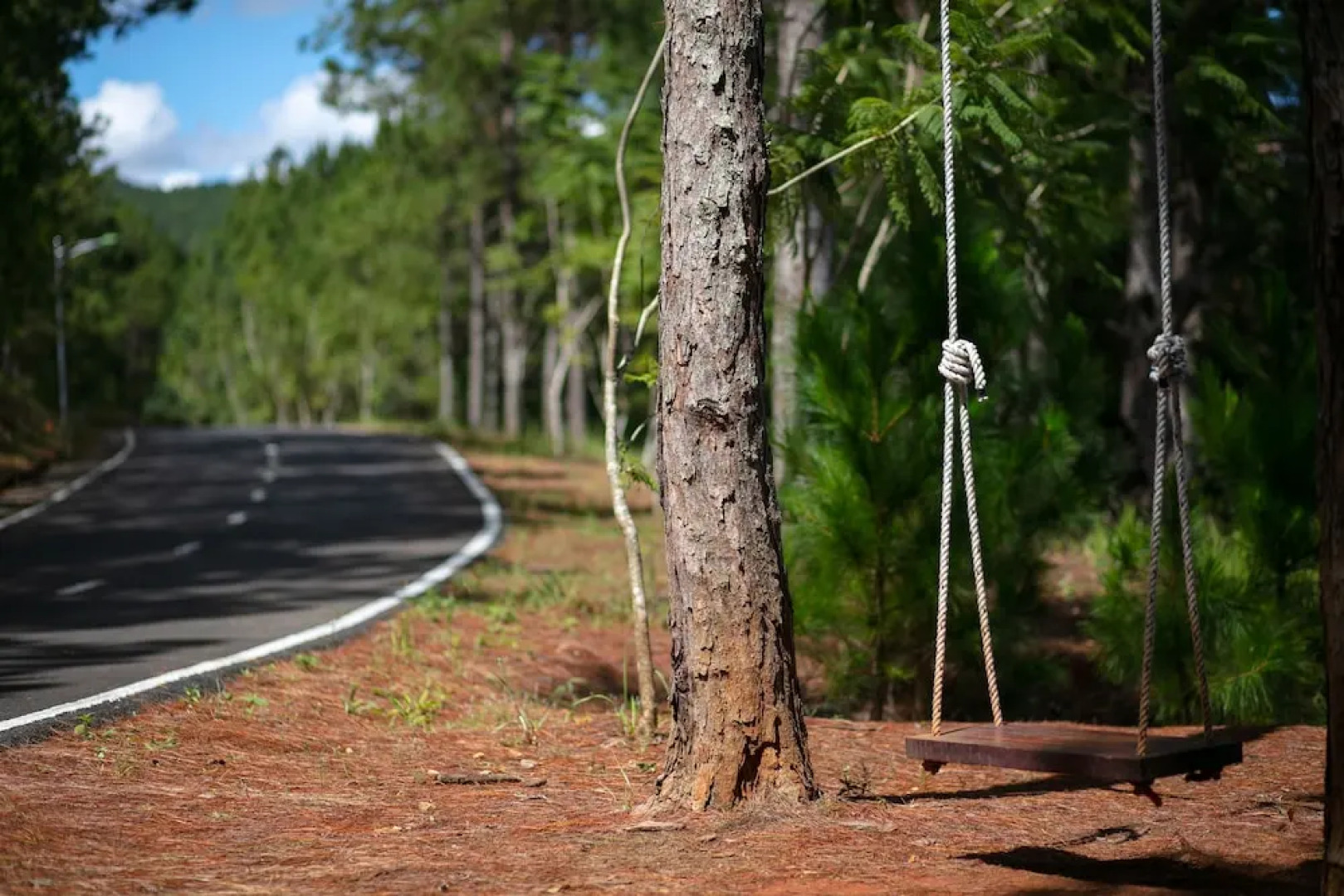 Sam Tuyen Lam Resort