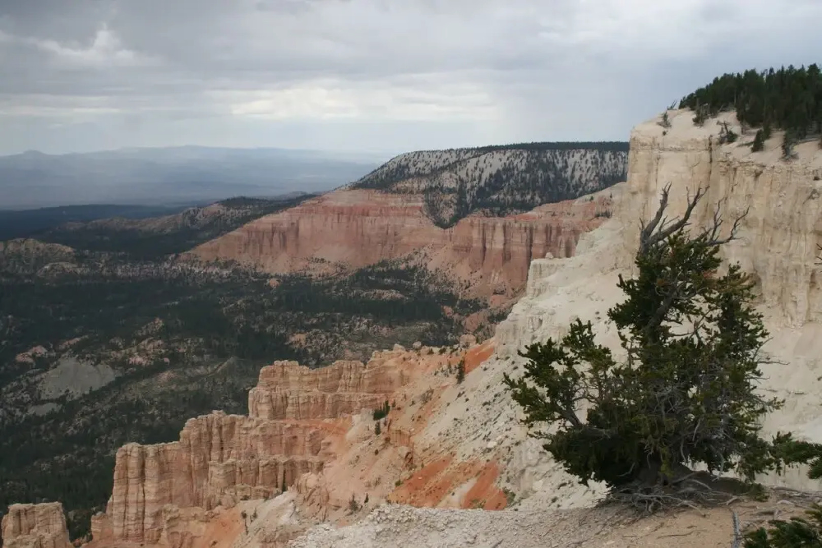 River Stone Inn & Gallery