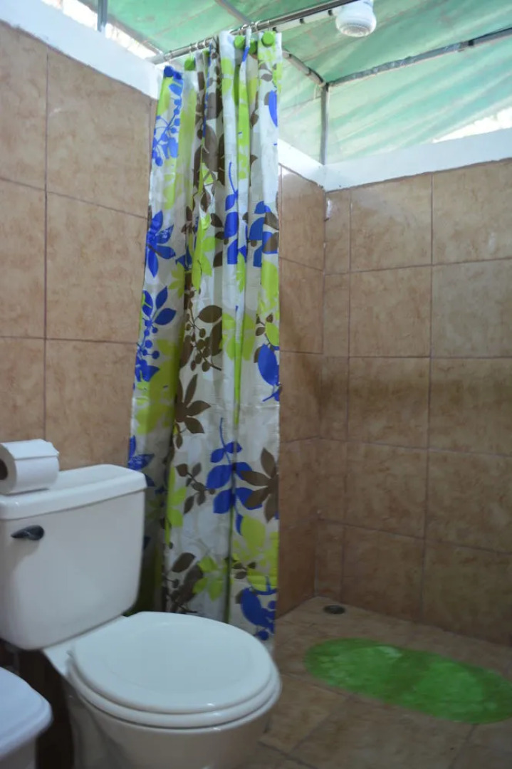 Hotel Tortuguero Jungle