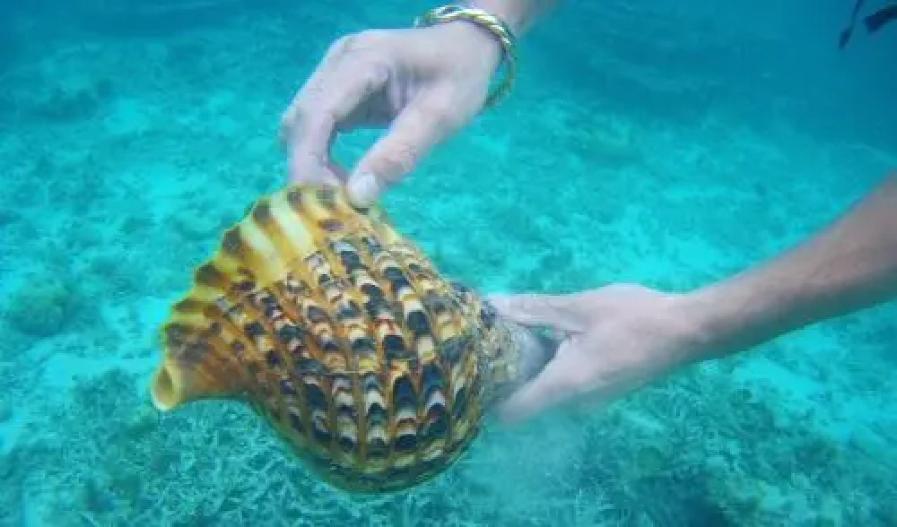 La Gaulette Guesthouse