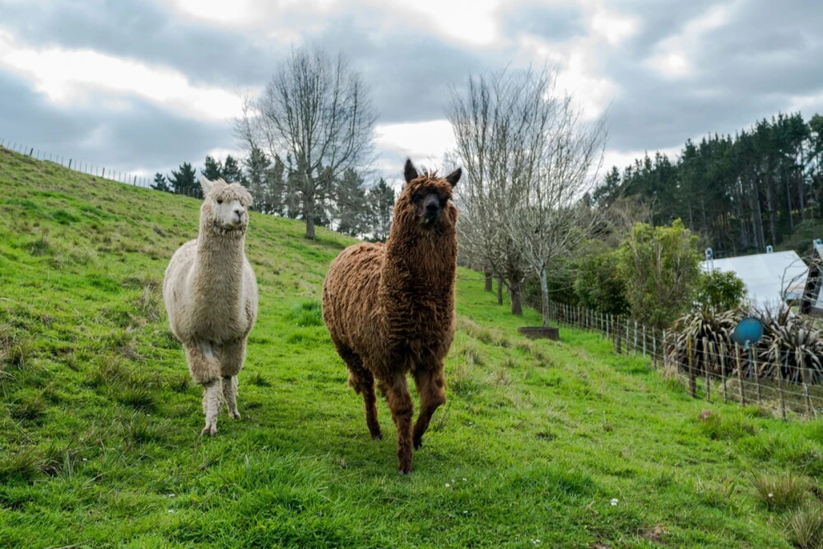 Ramarama Luxury Vacation Villa