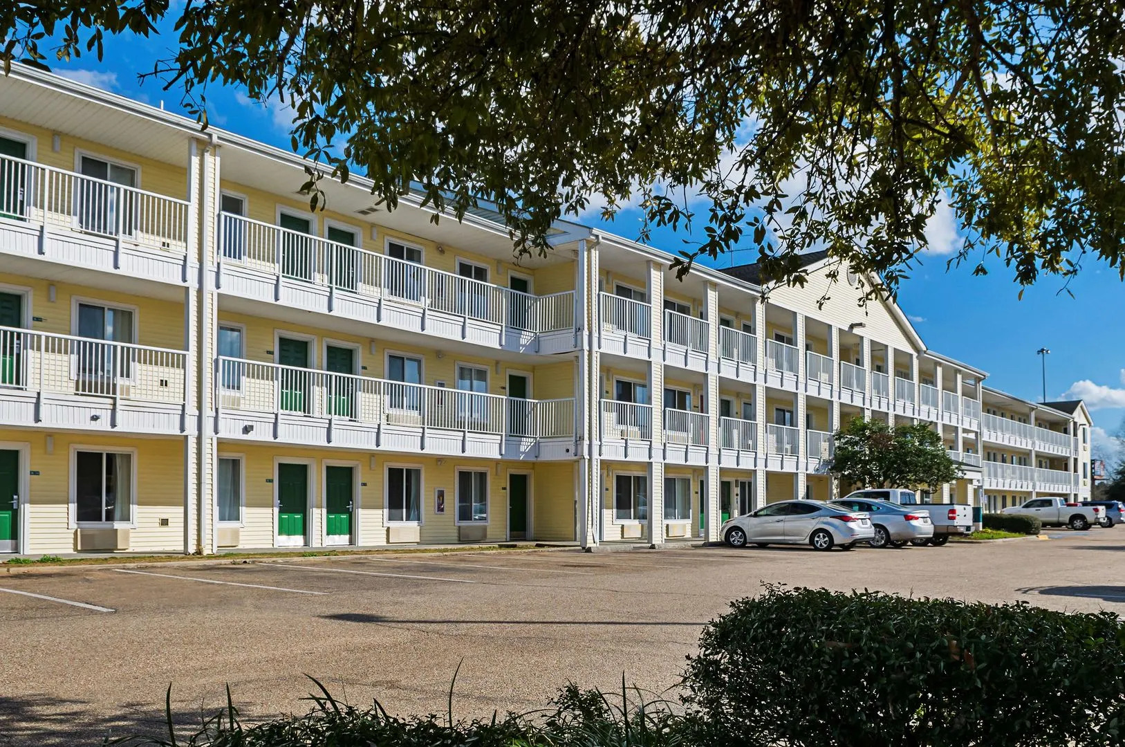 Siegel Select Baton Rouge