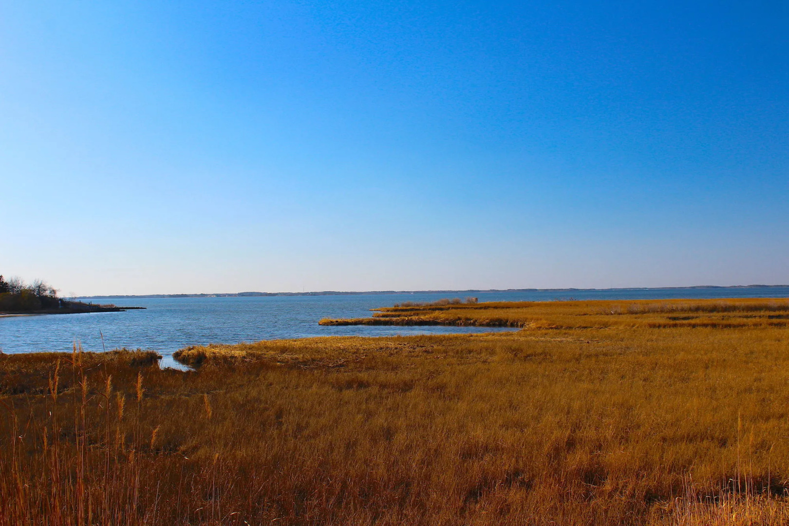 Lucayan Resort by Kees Vacations