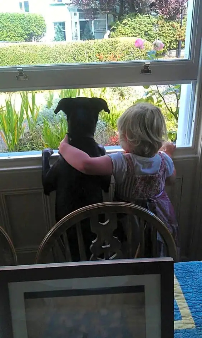 Whitehead Bed and Breakfast