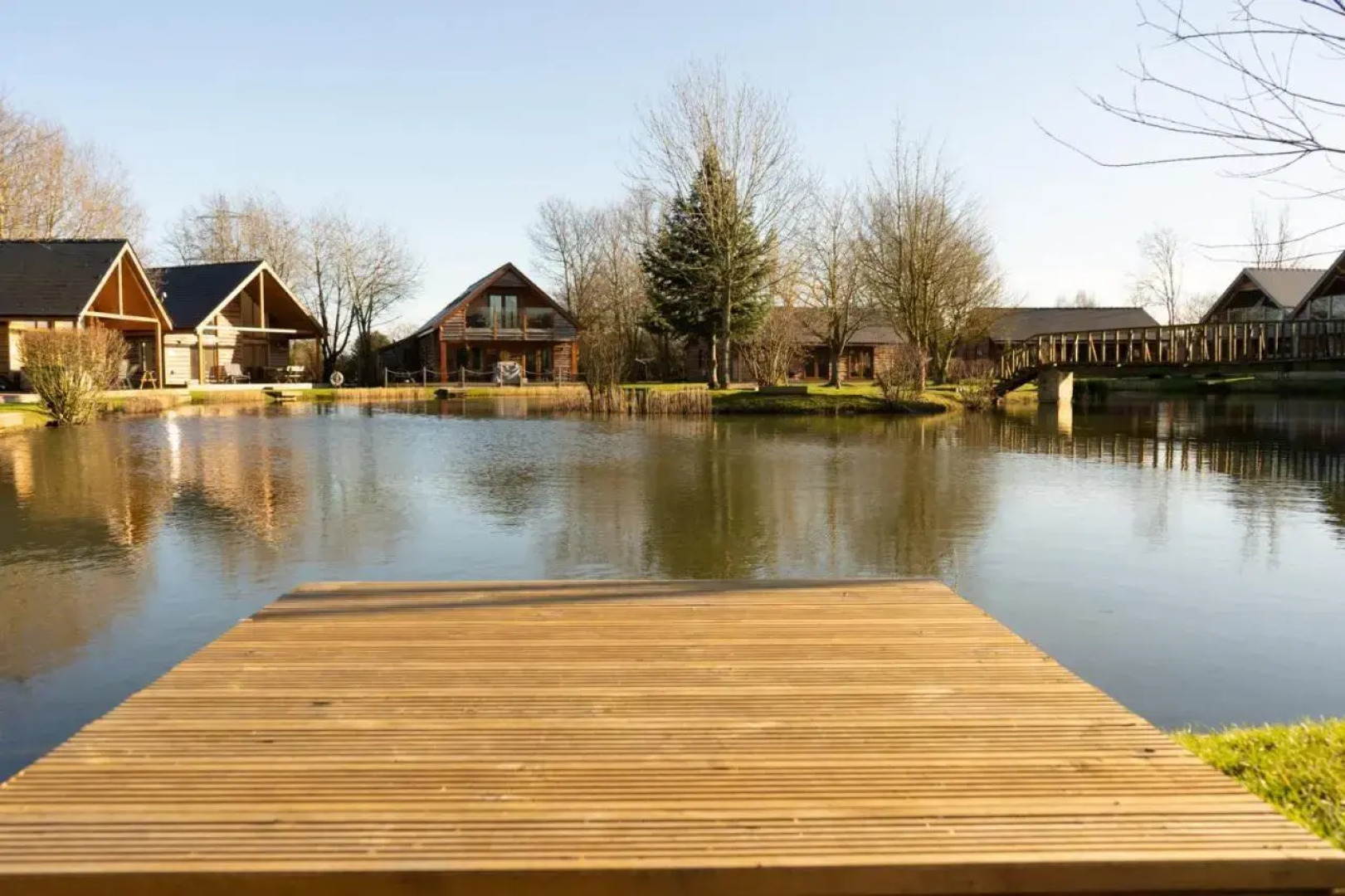 The Green Monkey (Adults Only)