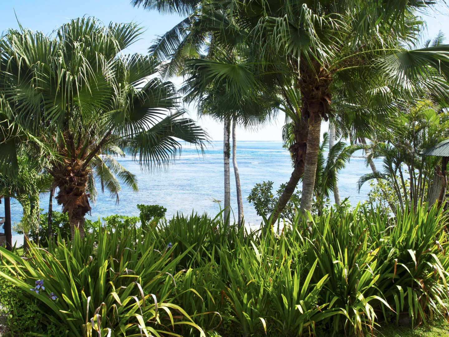 Sinalei Reef Resort & Spa