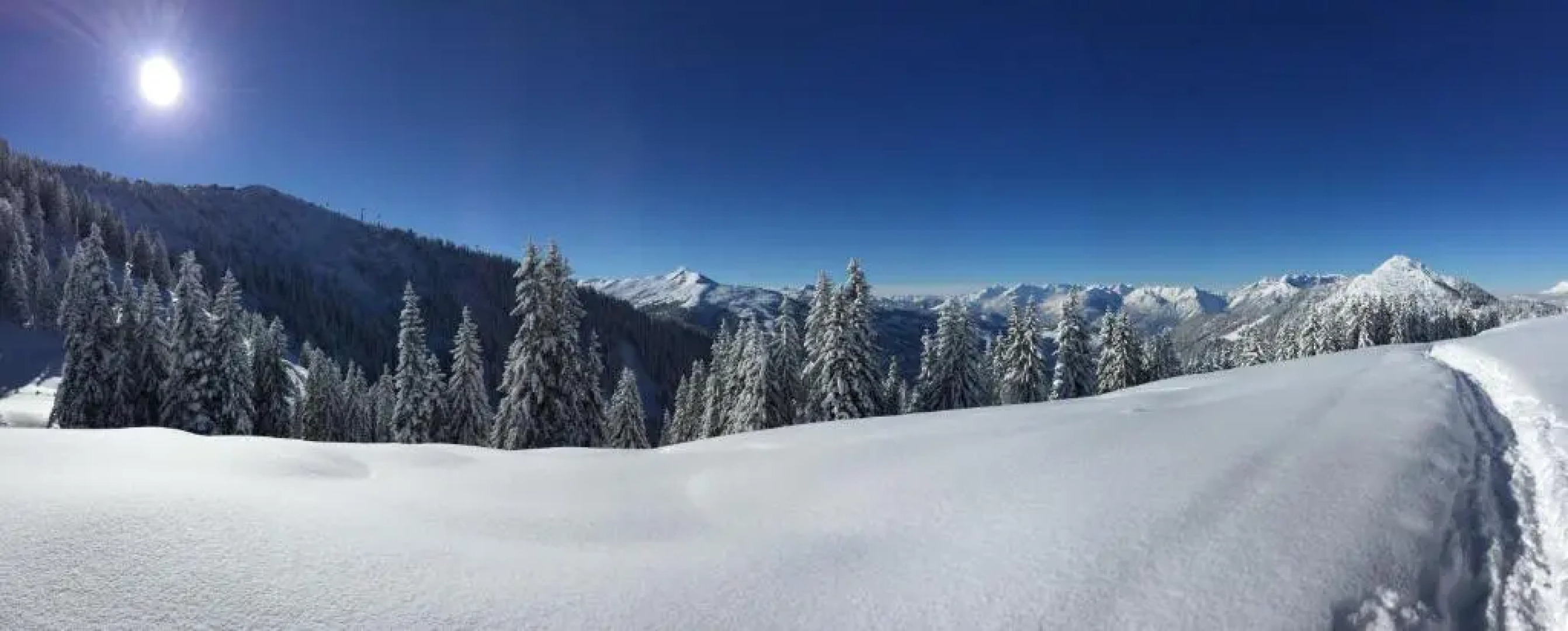 Aparthaus Alpbach Juwel