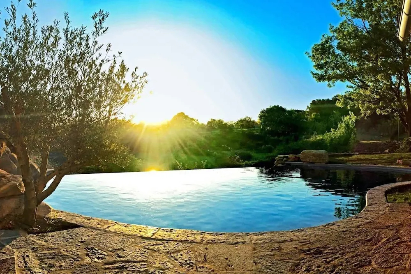 Wild Boar Mountain - France