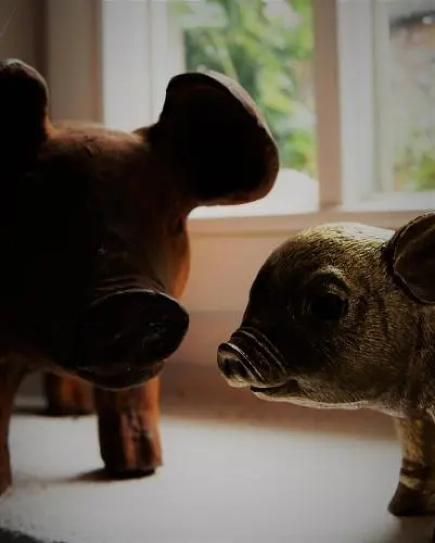 Zweite Heimat Privatpension